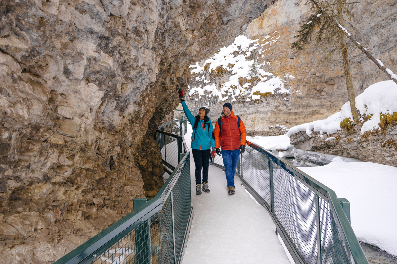 Day trip to Winter Rockies, visiting  Icefield Parkway, Peyto Lake and Johnston Canyon from Calgary, Canmore and Banff