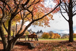 5-Day Maple Viewing Packaged Tour with airport pickup, Taking Agawa Canyon Railway, Visiting Algonquin Park , and Niagara Falls